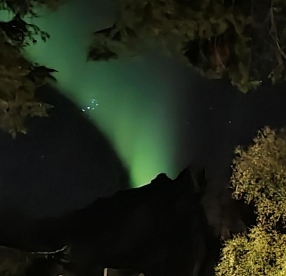 Innholdsrik Og Koselig Leilighet I Svolvaer Lofoten Eksteriør billede